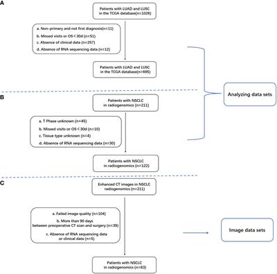 Enhanced CT-based radiomics model to predict natural killer cell infiltration and clinical prognosis in non-small cell lung cancer